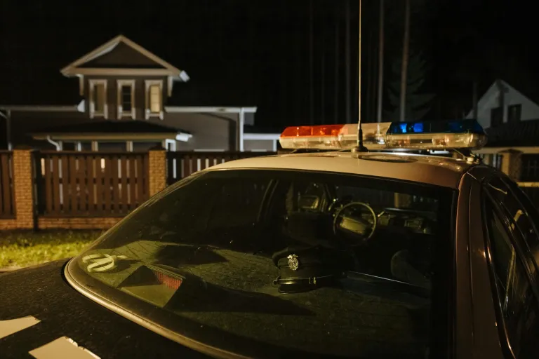 Police Car at Home